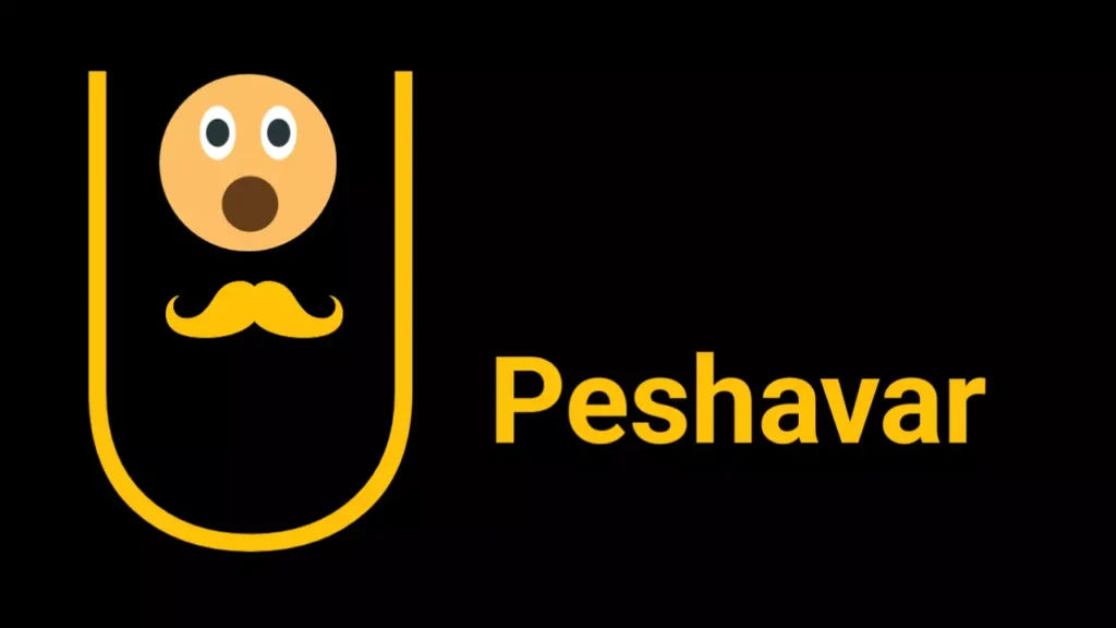 Peshawar Web Series